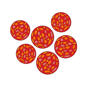 Chorizo